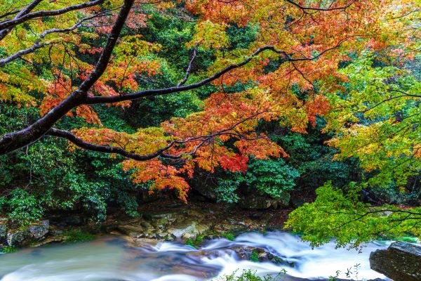 🏞️ 호쾌한 계곡(고케이) 이미지 5